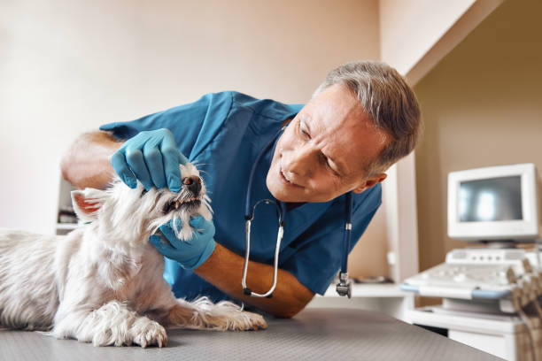 Best 24-Hour Emergency Dental Care in Mangum, OK